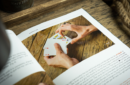 Httpswww magicshop chmediacatalogproductsisimple nomansland 2 8 png