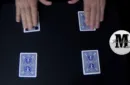 The Whole Matrix by Richard Griffin – Bild 2