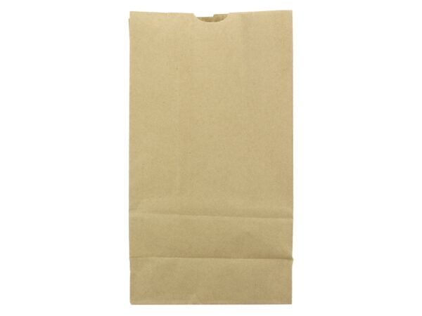 10 x Paper Bag / 10 Papiertüten 34 cm hoch