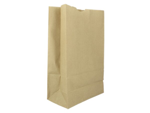 10 x Paper Bag / 10 Papiertüten 34 cm hoch
