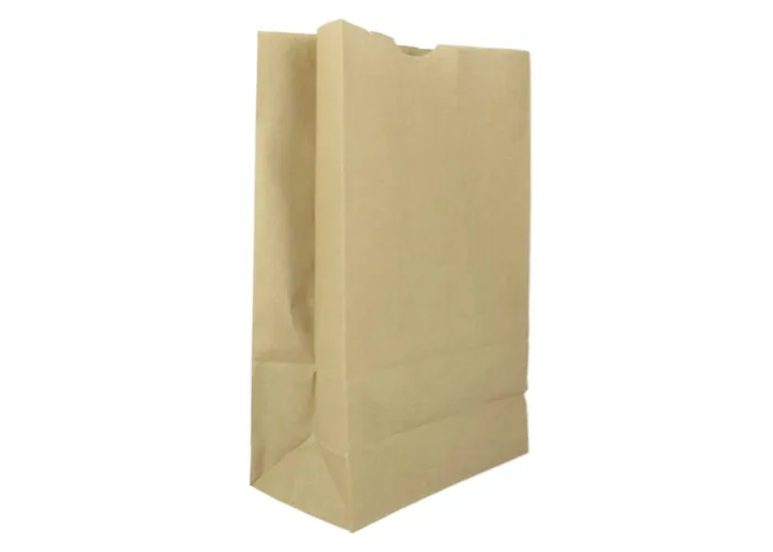 10 x Paper Bag / 10 Papiertüten 29 cm hoch