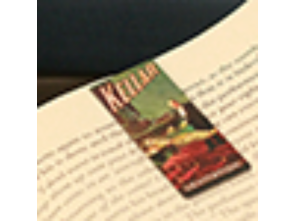 Masters of Magic Bookmarks Set 2. by David Fox - Trick