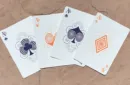 Bicycle Snail (Blue) Playing Cards – Image 3