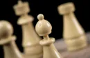 GAMBIT IVORY (With Online Instruction) by Tony Anverdi – Image 3