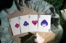 Bioluminescent Playing Cards – Bild 4