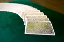 Cactus (Pink Quartz) Playing Cards – Bild 2