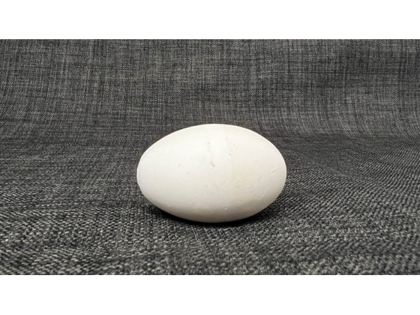 Multiplying eggs (white) by Uday