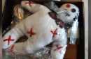 Electronic Voodoo Doll Magic by Hatiro – Bild 2