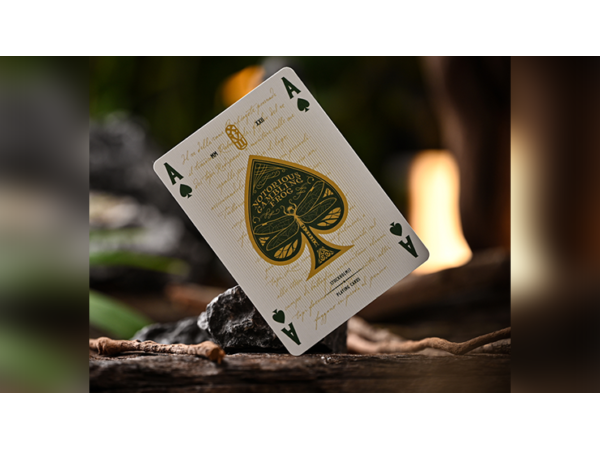 Notorious Gambling Frog (Orange) Playing Cards by Stockholm17