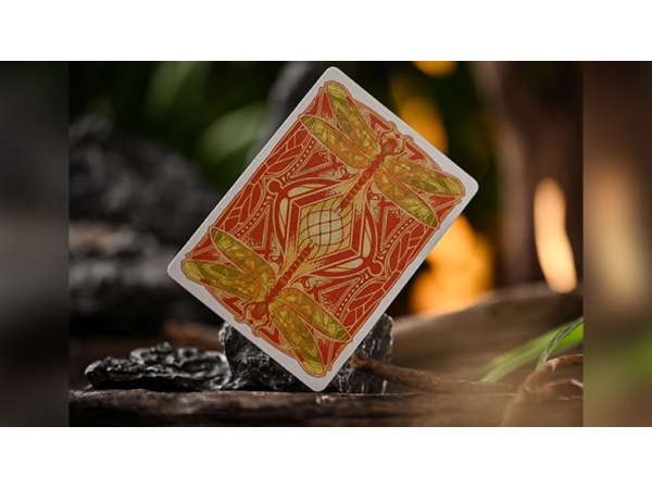 Notorious Gambling Frog (Orange) Playing Cards by Stockholm17