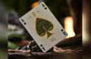 Notorious Gambling Frog (Orange) Playing Cards by Stockholm17 – Image 3