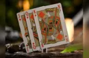 Notorious Gambling Frog (Orange) Playing Cards by Stockholm17 – Image 4