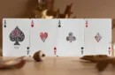 Butterfly Seasons Marked Playing Cards (Fall) by Ondrej Psenicka – Bild 2