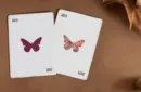 Butterfly Seasons Marked Playing Cards (Fall) by Ondrej Psenicka – Bild 3