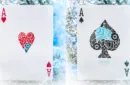 Butterfly Seasons Marked Playing Cards (Winter) by Ondrej Psenicka – Image 5