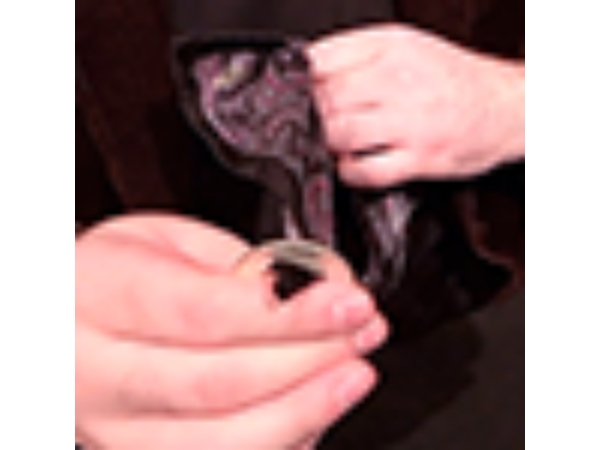 Polished Coin by Jonio