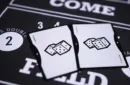 Craps Playing Cards (Gimmicks and Online Instructions) by Mechanic Industries – Image 2