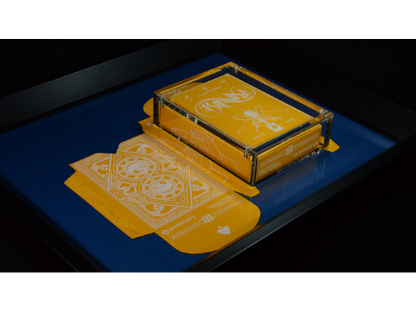 Carat X810R Right Sided Single Deck 8"x10" Display