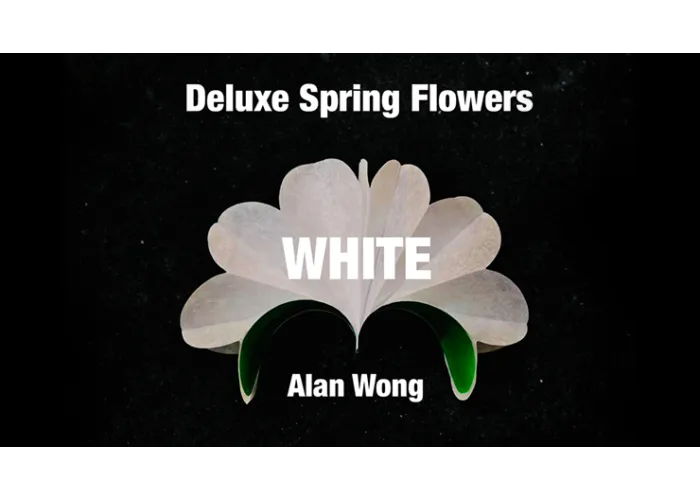 Deluxe Spring Flowers WHITE by Alan Wong