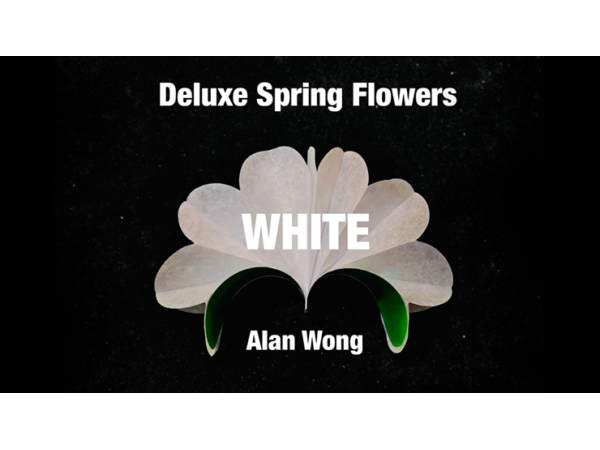 Deluxe Spring Flowers WHITE by Alan Wong