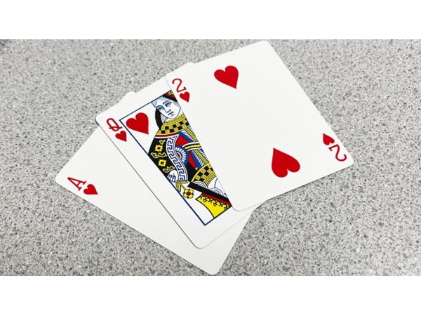 Bicycle 2 Faced Red (Mirror Deck Same on both sides) Playing Card