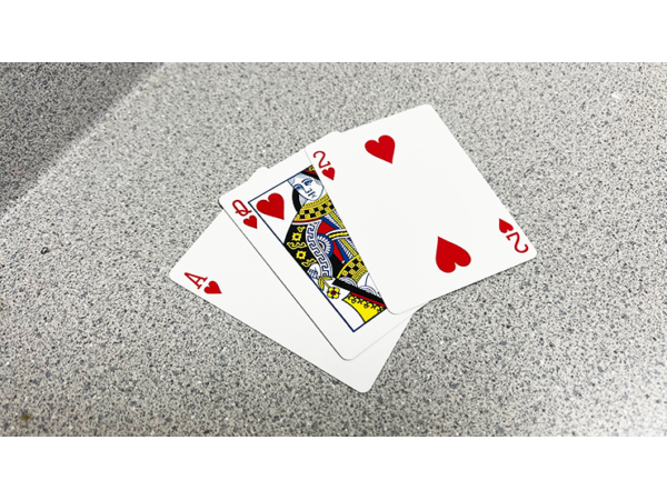 Bicycle 2 Faced Blue (Mirror Deck Same Both Sides) Playing Card
