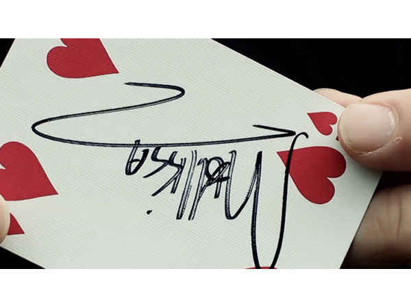 PORTAL (Gimmicks & Online Instruction) by Peter Eggink