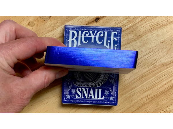 Gilded Bicycle Snail (Blue) Playing Cards