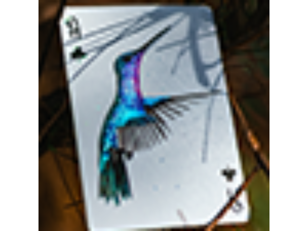 Marvelous Hummingbird Feathers (Blue) Playing Cards by Kellar