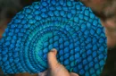 Marvelous Hummingbird Feathers (Blue) Playing Cards by Kellar – Image 6