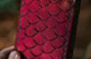 Marvelous Hummingbird Feathers (Red) Playing Cards by Kellar – Image 3
