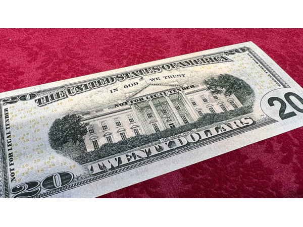 Impossible Tear Bank Notes USD (Gimmicks and Online Instructions) by MagicWorld