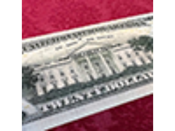 Impossible Tear Bank Notes USD (Gimmicks and Online Instructions) by MagicWorld