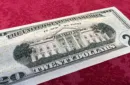 Impossible Tear Bank Notes USD (Gimmicks and Online Instructions) by MagicWorld – Image 2