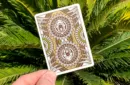 Bicycle Dinosaur Playing Cards – Bild 4