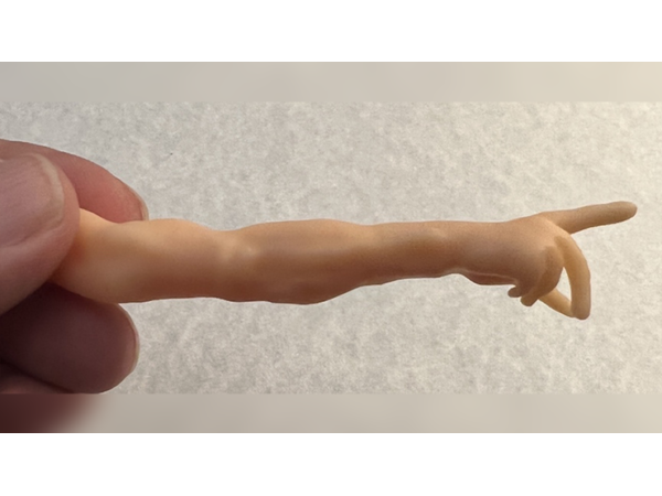 SPIRIT POINTER by Mark Strivings