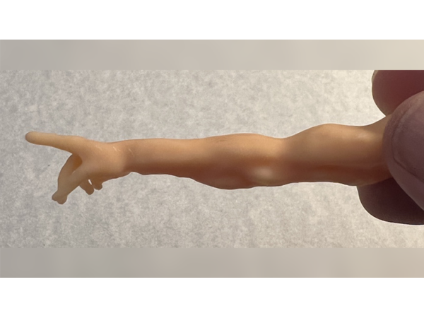 SPIRIT POINTER by Mark Strivings