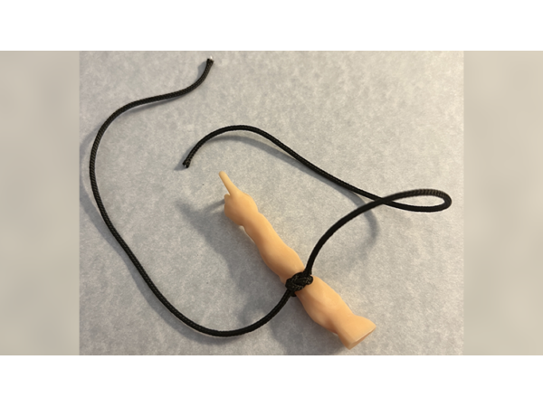 SPIRIT POINTER by Mark Strivings