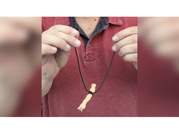 SPIRIT POINTER by Mark Strivings