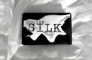 The Silk by Gonzalo Albiñana and Crazy Jokers – Bild 1