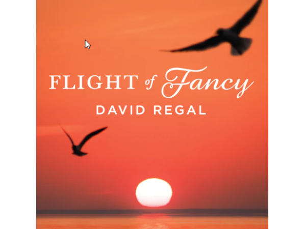 Flight of Fancy by David Regal