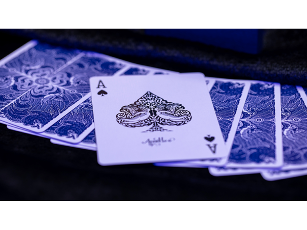 Apostles Playing Cards (Deck and Online Instructions) by Luke Jermay