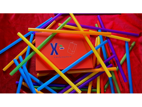 X Box 2.0 (Gimmicks and Online Instructions) by Kingsley Xu