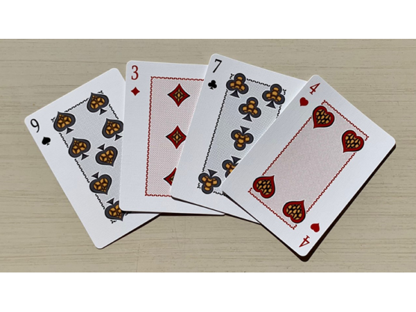 Bicycle Turtle (Land) Playing Cards