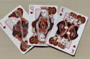 Bicycle Turtle (Land) Playing Cards – Image 4