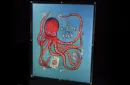 Carat IAOCP Book Case – Image 3