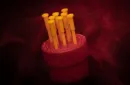 SPIKER BOX (Gimmicks and Instructions) by Apprentice Magic – Bild 2