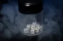 DICE BOMB (Gimmicks and Instructions) by Apprentice Magic – Image 3