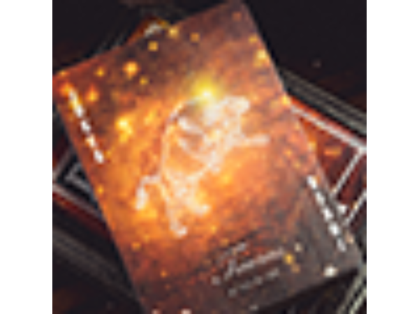 Bicycle Constellation (Taurus) Playing Cards - Stier