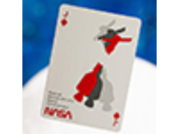 OFFICIAL NASA WORM PLAYING CARDS